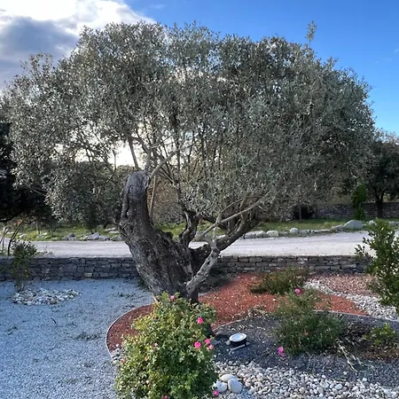 Mas Orchis Cazevieille