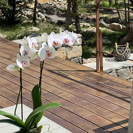 Mas Orchis Cazevieille