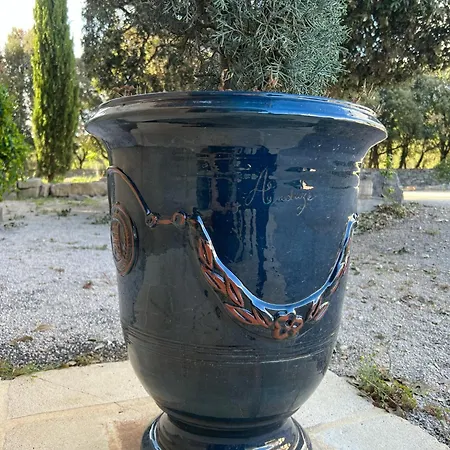 Appartement Mas Orchis