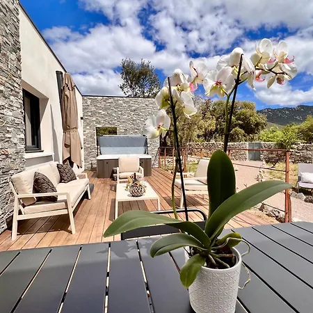 Appartement Mas Orchis