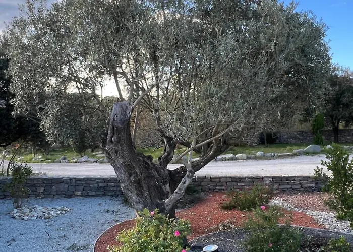 Mas Orchis Cazevieille