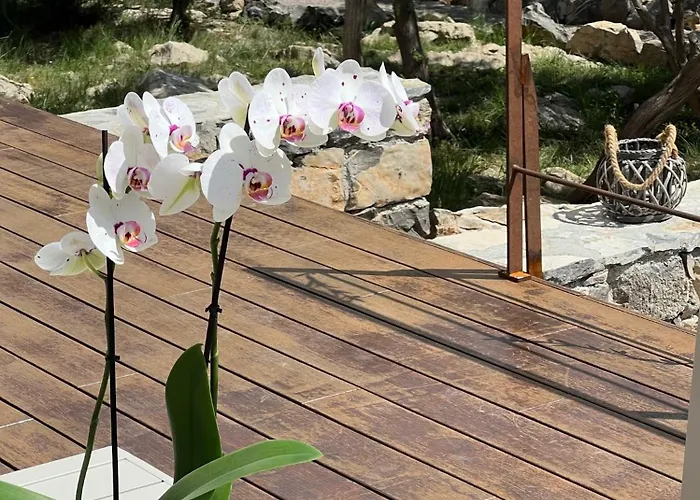 Mas Orchis Cazevieille