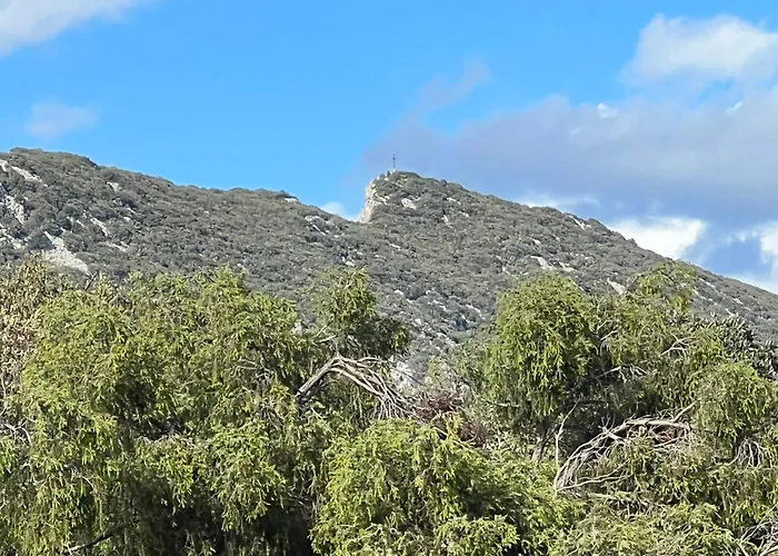 Apartment Mas Orchis